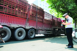 成都貨運汽車入城證競價創新高，52萬元引發行業深層思考